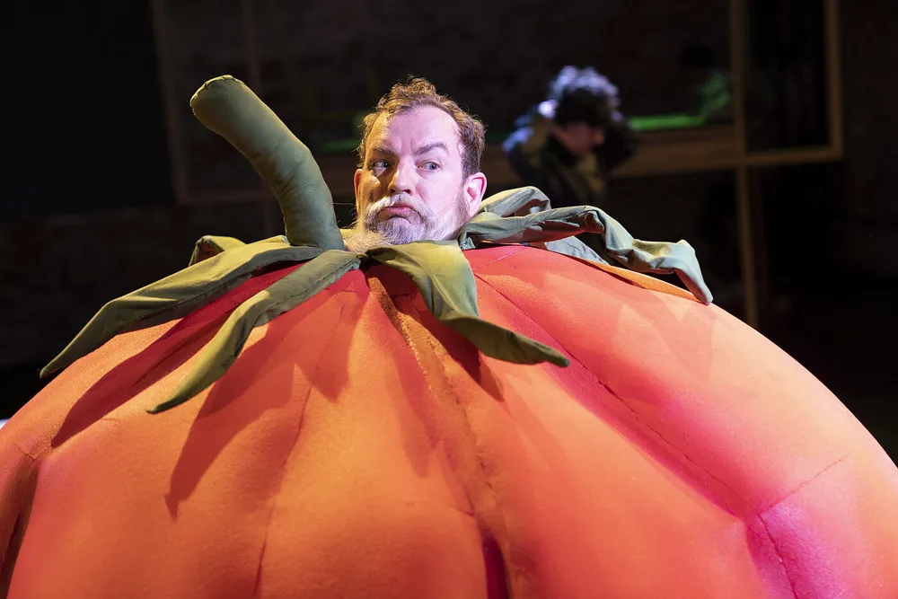 Wie der Wahnsinn mir die Welt erklärte